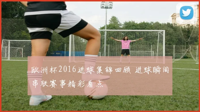 欧洲杯2016进球集锦回顾 进球瞬间串联赛事精彩看点