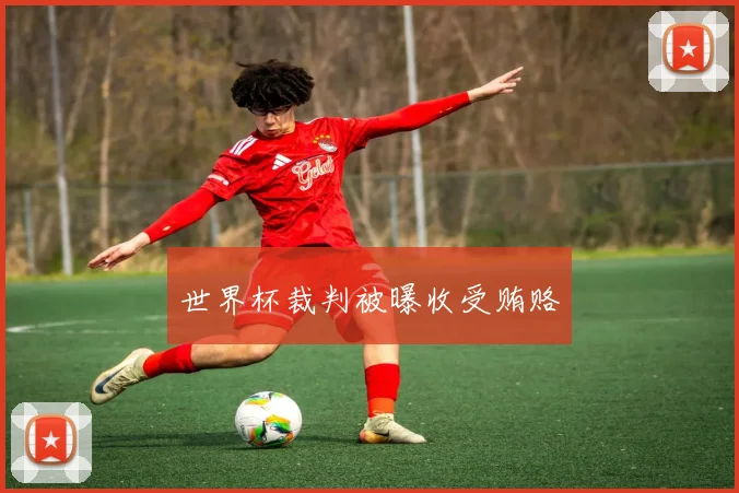 世界杯裁判被曝收受贿赂