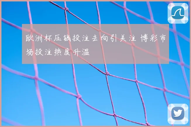 欧洲杯压钱投注去向引关注 博彩市场投注热度升温