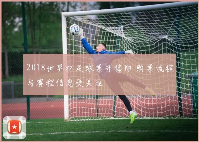 2018世界杯足球票开售即 购票流程与赛程信息受关注