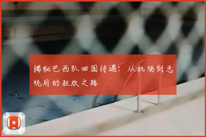 揭秘巴西队回国待遇:从机场到总统府的狂欢之路