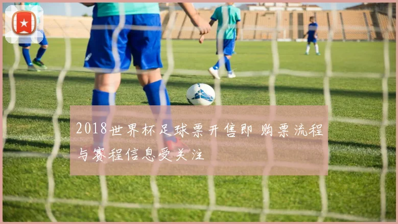 2018世界杯足球票开售即 购票流程与赛程信息受关注