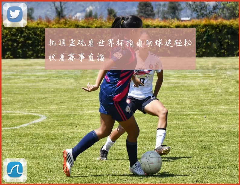 机顶盒观看世界杯指南助球迷轻松收看赛事直播