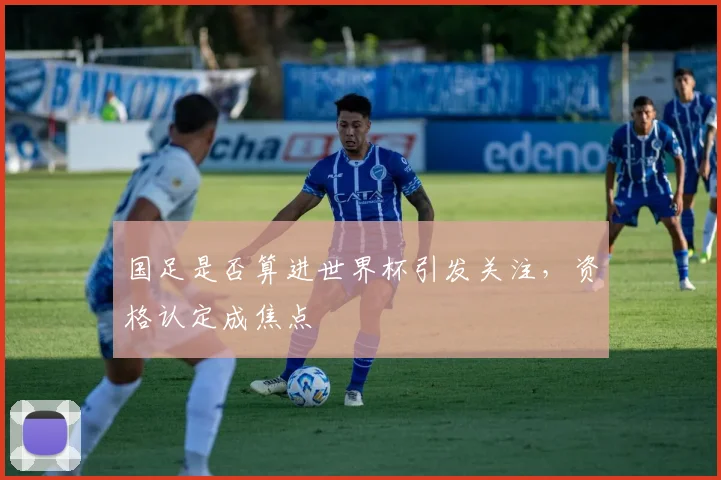 国足是否算进世界杯引发关注，资格认定成焦点