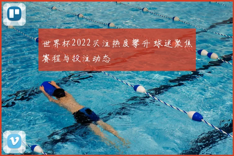 世界杯2022买注热度攀升 球迷聚焦赛程与投注动态