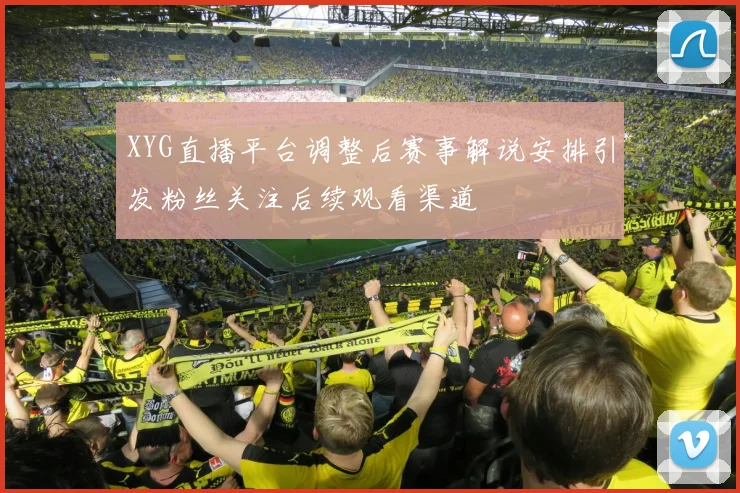 XYG直播平台调整后赛事解说安排引发粉丝关注后续观看渠道