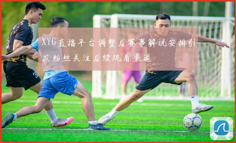 XYG直播平台调整后赛事解说安排引发粉丝关注后续观看渠道